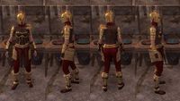 ON-item-armor-Dragonguard Berserker (female).jpg