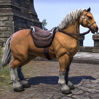 ON-mount-Palomino Horse.jpg