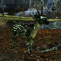 Skyrim:Deer - The Unofficial Elder Scrolls Pages (UESP)