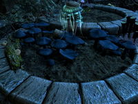 Skyrim Steel Blue Entoloma The Unofficial Elder Scrolls Pages UESP   200px SR Flora Steel Blue Entoloma (Fertile Soil) 