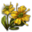 ON-icon-reagent-Dragonthorn.png
