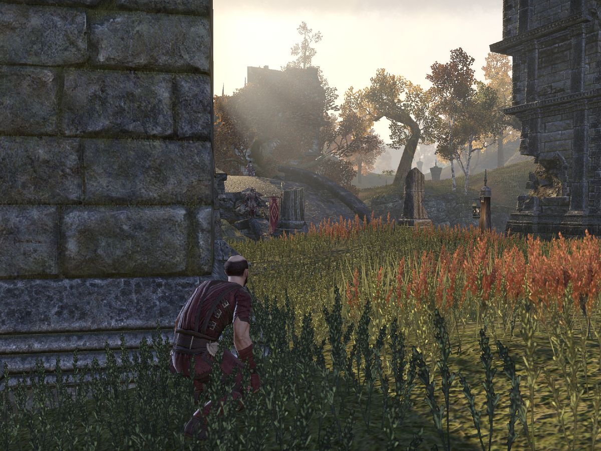OnlineStacking the Odds The Unofficial Elder Scrolls Pages (UESP)