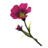 BS5-icon-ingredient-RedFlax.png