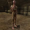 Thumbnail for version as of 16:18, 11 May 2025
