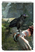 ON-card-Crow's Calling.png
