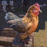 ON-creature-Chicken.jpg