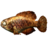 SR-icon-food-Cooked Pearlfish.png