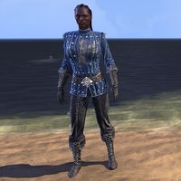 ON-costume-Alliance Rider Outfit (Covenant female).jpg