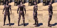 ON-item-armor-Breton Medium 2 Male.jpg