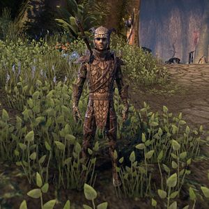 Online:Elden Root Guard - The Unofficial Elder Scrolls Pages (UESP)