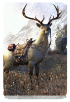 ON-card-Great Elk.png