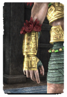 ON-card-Welwa Feathered Warrior Gloves.png