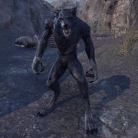 ON-creature-Gray Host Werewolf 04.jpg