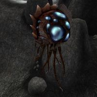 TD3-creature-Skylamp.jpg