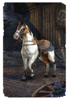 ON-card-Arenthian Skewbald Horse.png