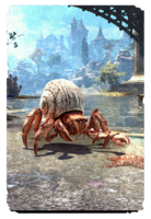 ON-card-Hermit Crab.png