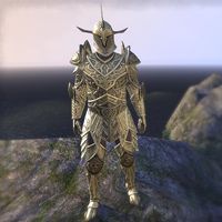 ON-costume-Auroran Knight (male).jpg