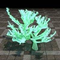 ON-furnishing-Elkhorn Coral, Verdant Branching.jpg
