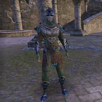 ON-item-armor-Elder Dragon Hunter Female.jpg