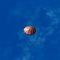 Thumbnail for version as of 01:35, 22 April 2025