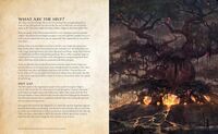BK-misc-Official Survival Guide to Tamriel 06.jpg