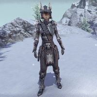 Winterborn Warrior's Costume (female)