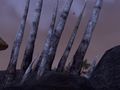 Thumbnail for version as of 00:46, 26 May 2025