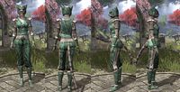 ON-item-armor-Homespun-Jerkin-Khajiit-Female.jpg