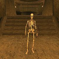 MW-creature-Skeleton.jpg