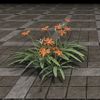 ON-furnishing-Flowers, Orange Daylily Cluster.jpg