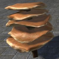 ON-furnishing-Mushrooms, Buttercake Cluster.jpg