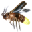 ON-icon-lure-Insect Parts.png