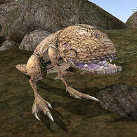 MW-creature-Guar.jpg