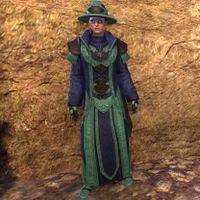 Mages Guildmaster Garb (female)