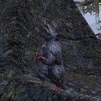 ON-creature-Bog Rat.jpg