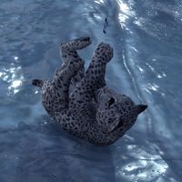 ON-creature-Sabre Cat (cub).jpg