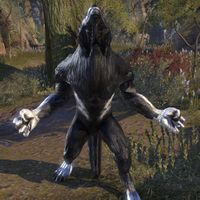 ON-creature-Werewolf (Kerbol's Hollow) 02.jpg