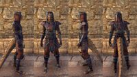 ON-item-armor-Argonian Light Jerkin 3 Male.jpg