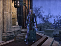 ESO: Talk to Sergeant Kamu - Into the Woods - , The Video