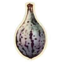 OBR-icon-ingredient-Alocasia Fruit.png