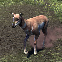 ON-creature-Antelope.jpg