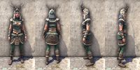 ON-item-armor-Huntsman Light Jerkin Female.jpg