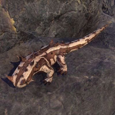 Online:Thorn Gecko (pet) - The Unofficial Elder Scrolls Pages (UESP)