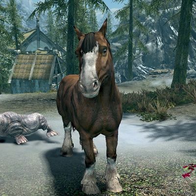 Skyrim:Unused Creatures - The Unofficial Elder Scrolls Pages (UESP)