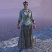 "Ever Auridon" Sateen Gown (male)