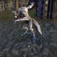 ON-creature-Werewolf (Daggerfall).jpg