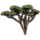 ON-icon-furnishing-Tree, Anequine Acacia Forking.png