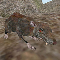 MW-creature-Rat.jpg