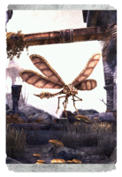 ON-card-Seht's Dovah-Fly.png