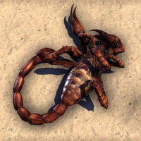 ON-creature-Firebite Scorpion.jpg